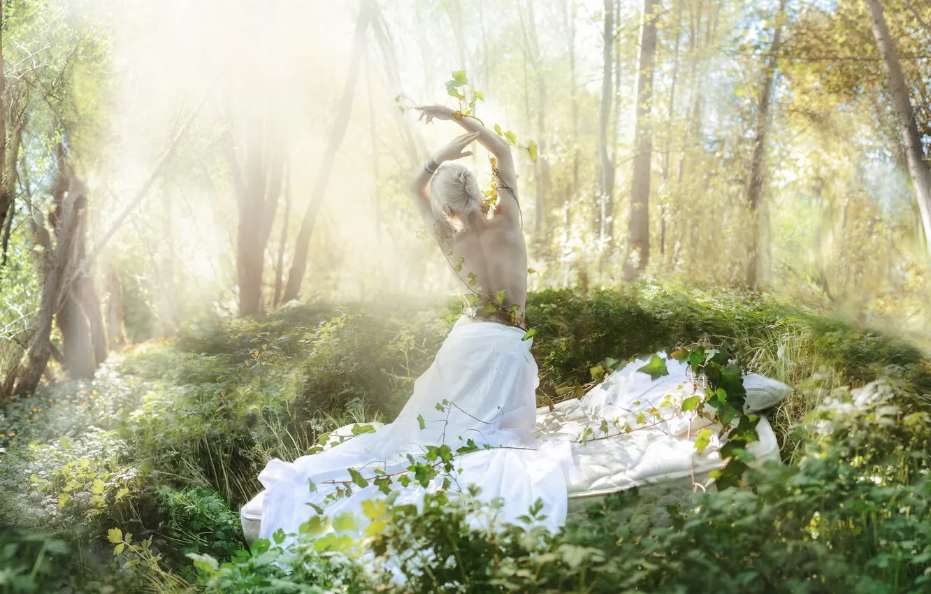 Photo wallpaper forest, girl, nature, mood