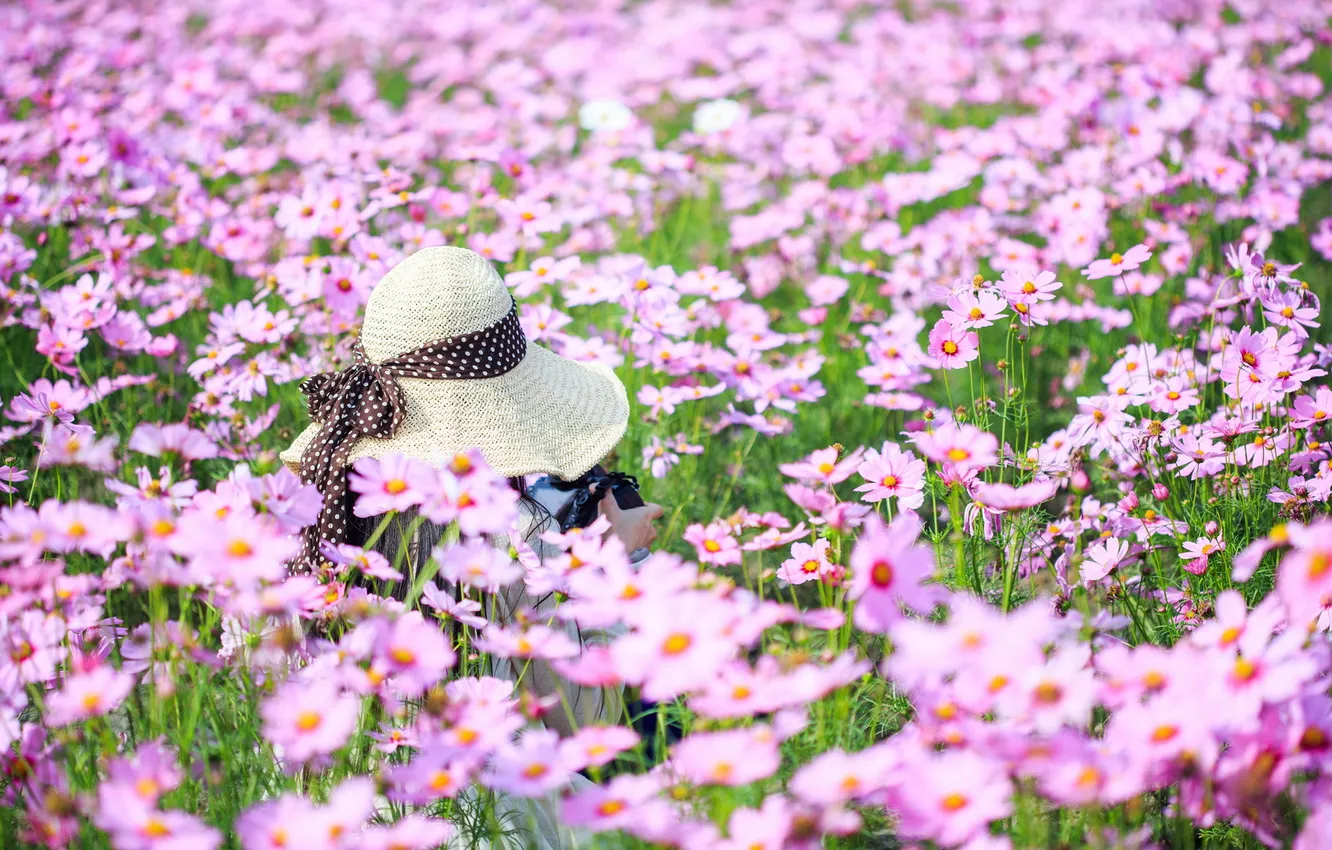 Photo wallpaper summer, flowers, hat