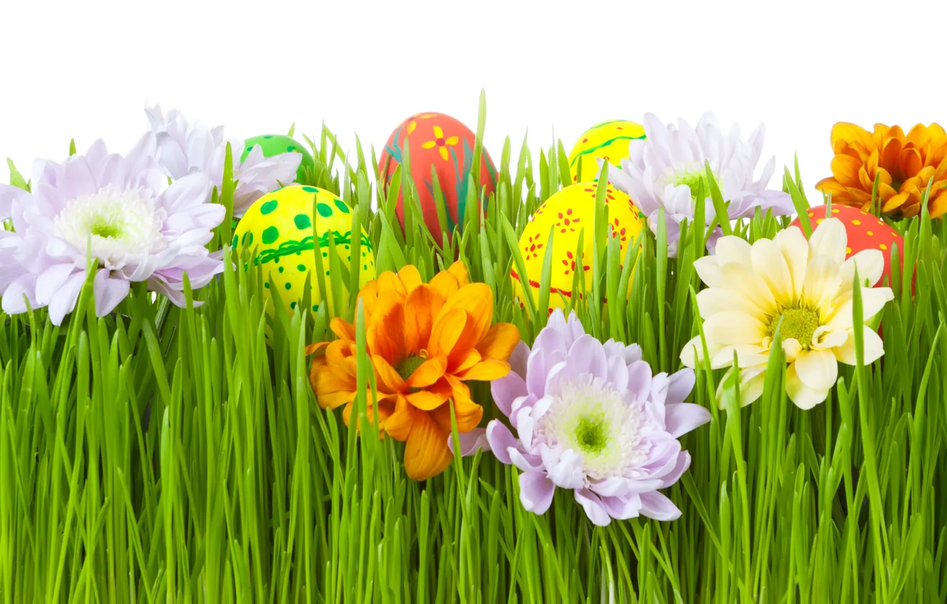 Photo wallpaper grass, flowers, eggs, Easter, Easter