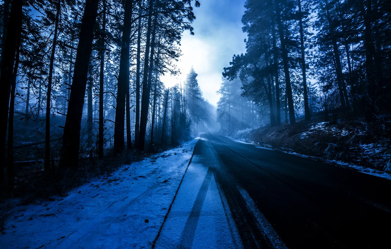 Photo wallpaper winter, road, forest, the sun, rays, snow, trees, nature