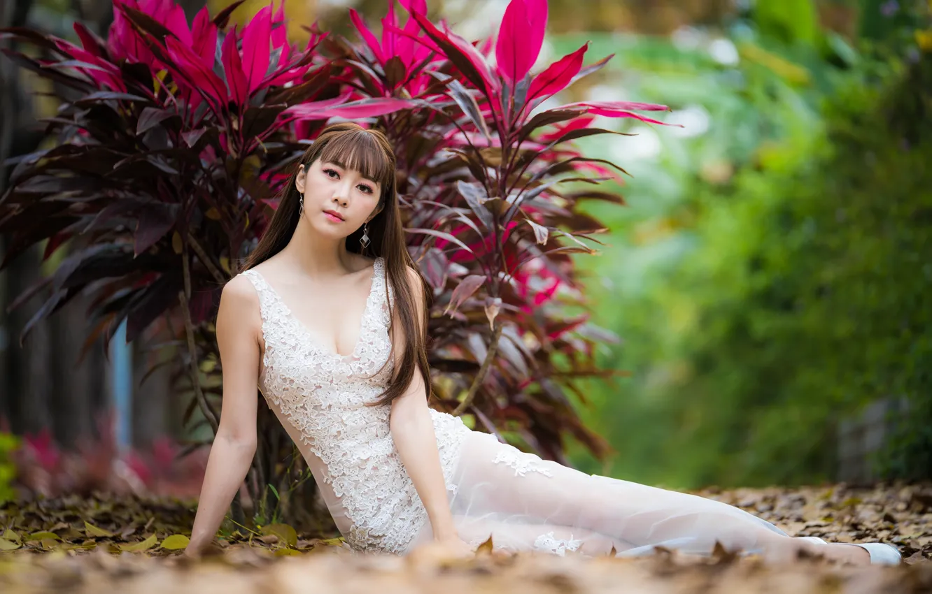 Photo wallpaper look, girl, hair, Asian, cutie, the bushes, bokeh