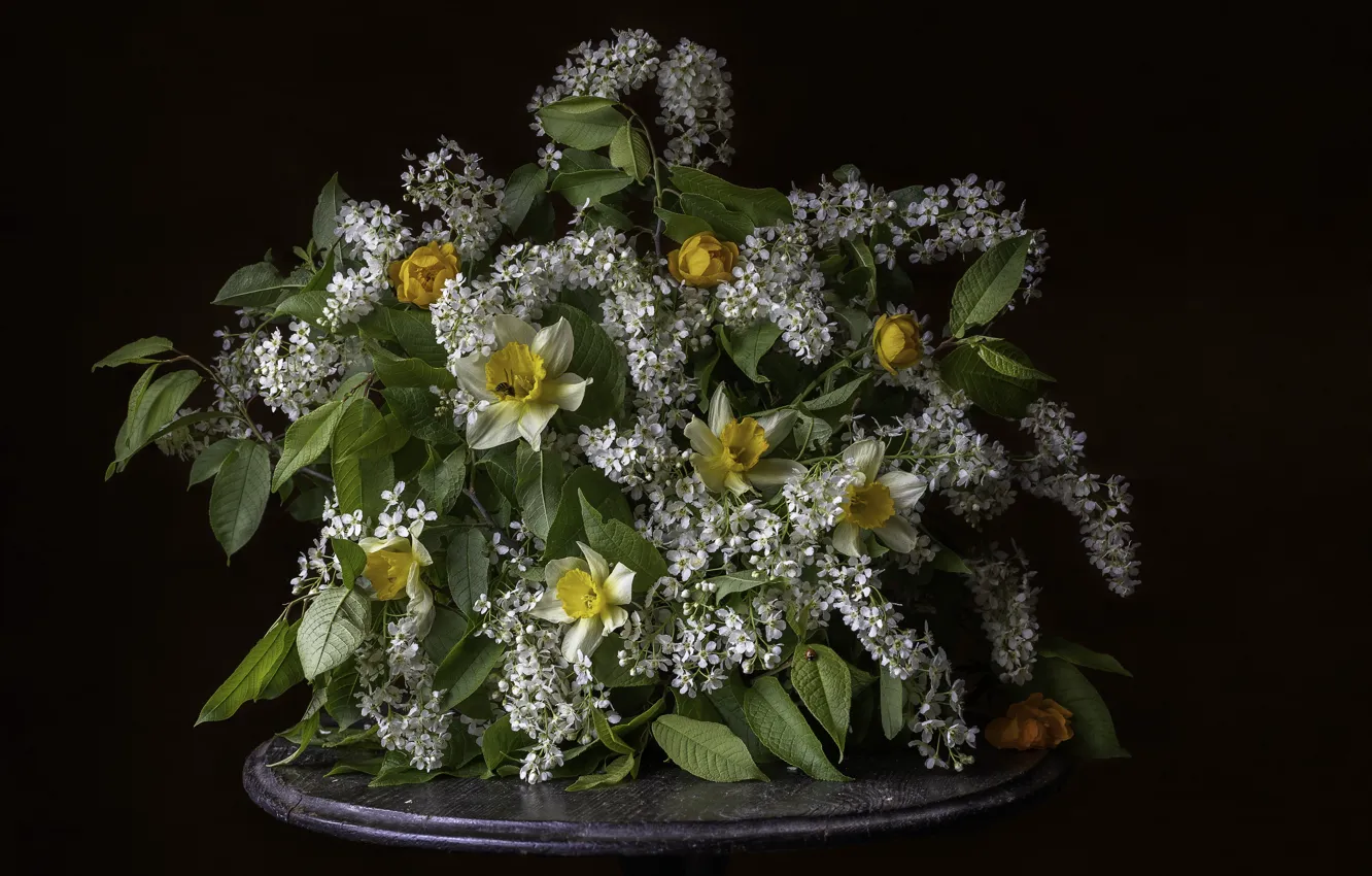 Photo wallpaper leaves, flowers, branches, yellow, the dark background, bouquet, spring, white
