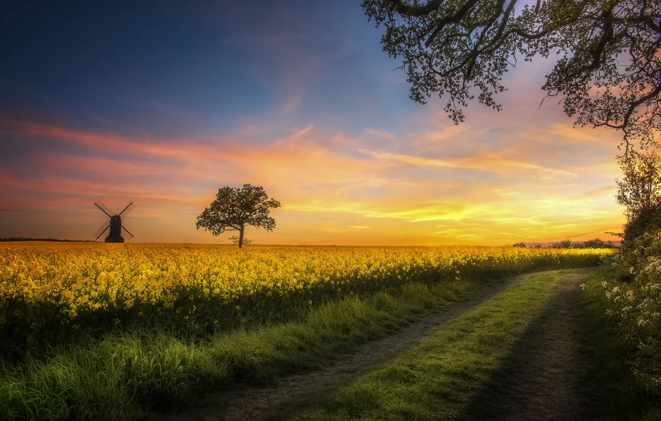 Photo wallpaper road, greens, field, the sky, grass, clouds, landscape, sunset