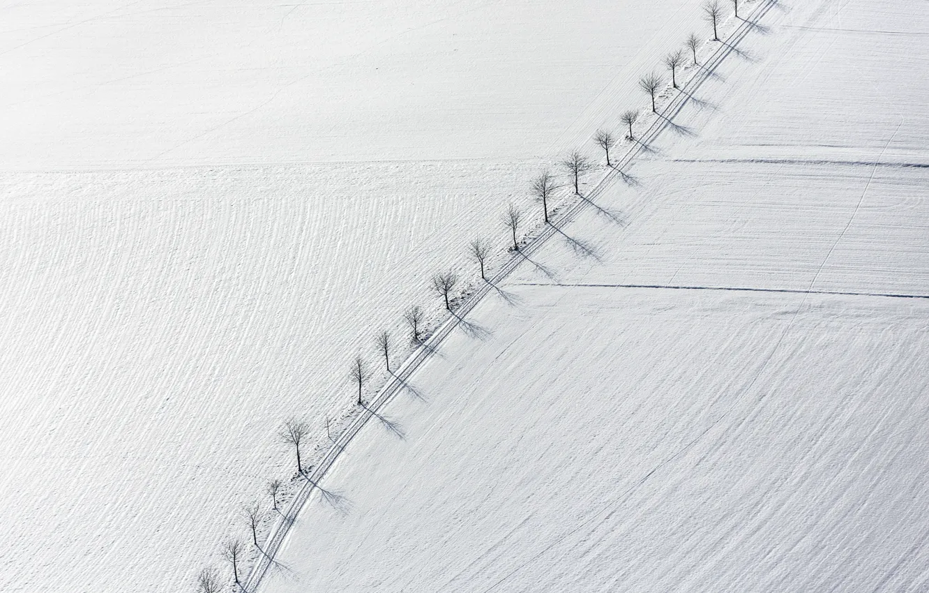 Photo wallpaper field, snow, trees, landscape, minimalism