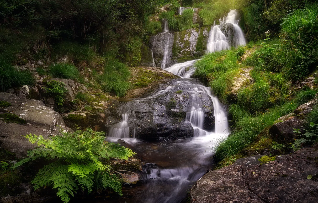 Photo wallpaper forest, river, waterfall