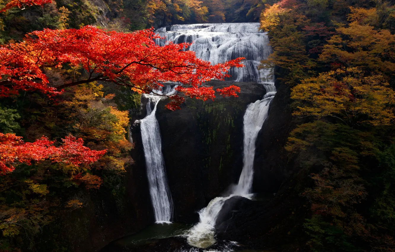 Photo wallpaper autumn, trees, landscape, nature, waterfall, stream