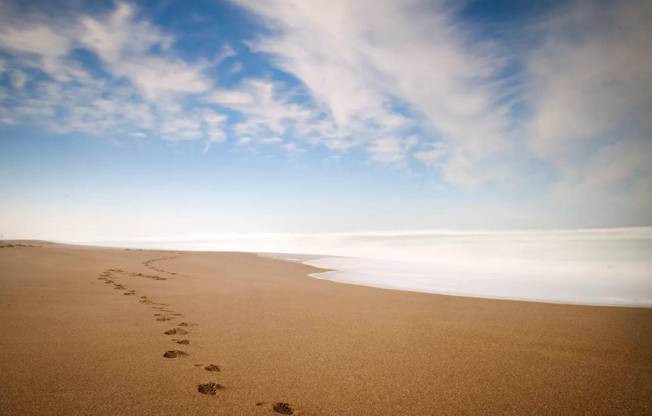 Photo wallpaper sand, sea, wave, traces, shore, horizon