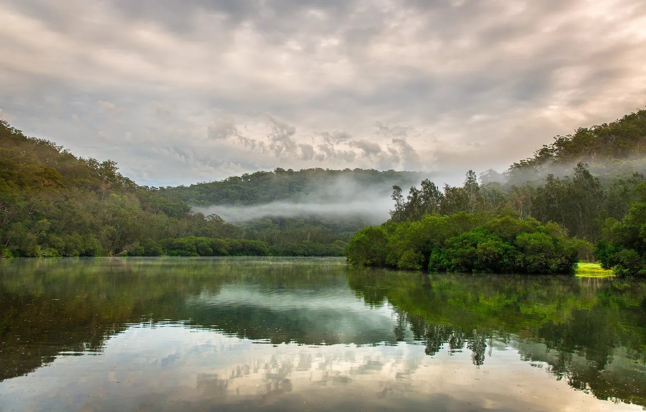 Photo wallpaper forest, nature, lake, haze, Australia, Berowa Creek