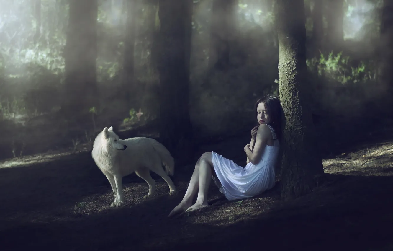 Photo wallpaper forest, dog, girl