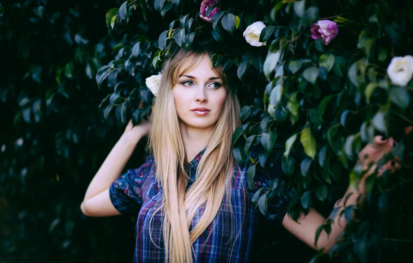 Photo wallpaper look, flowers, portrait, shirt