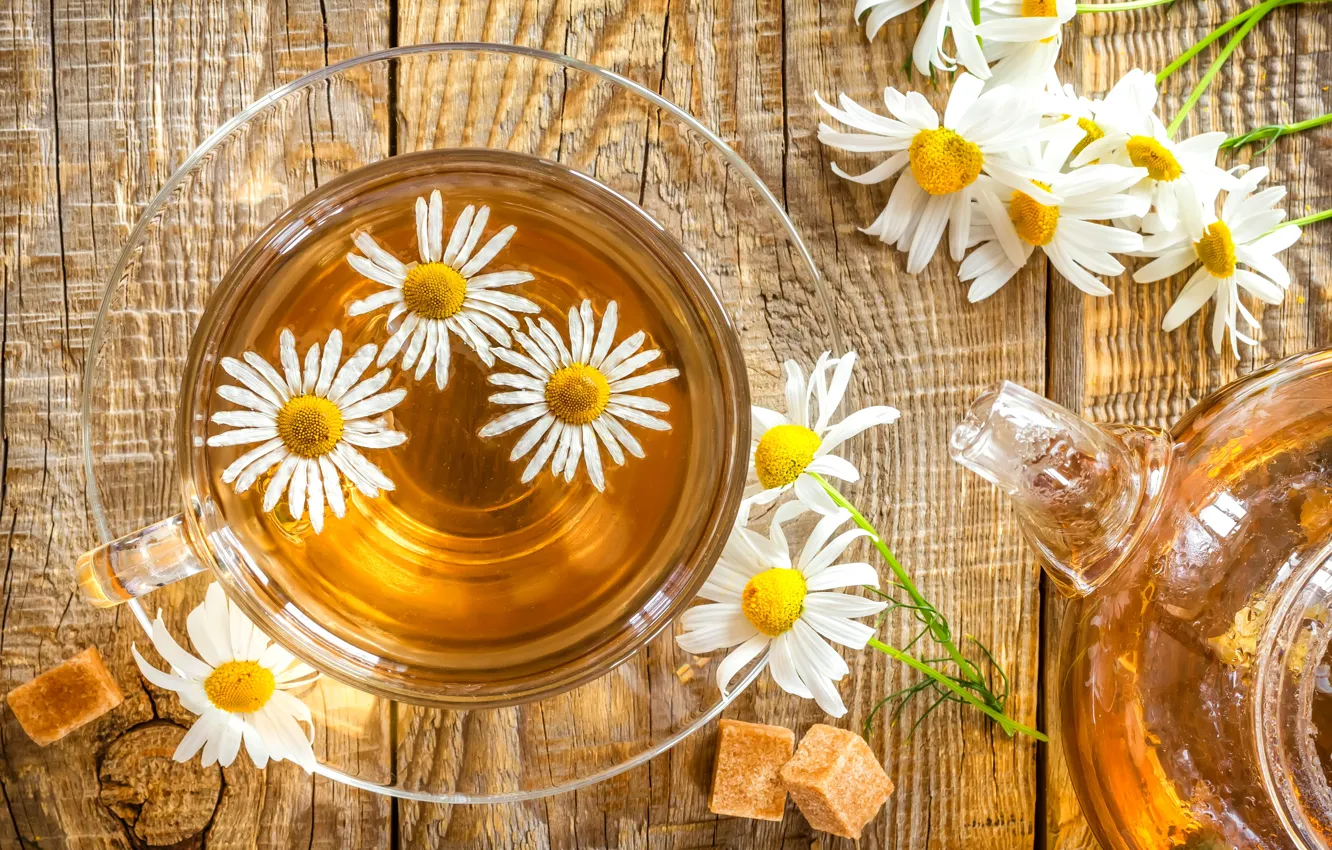 Photo wallpaper flower, tea, Daisy, Cup, drink, flower, saucer, cup