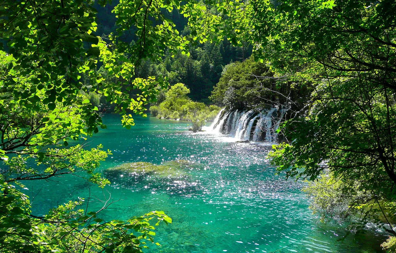 Photo wallpaper greens, trees, lake, waterfall
