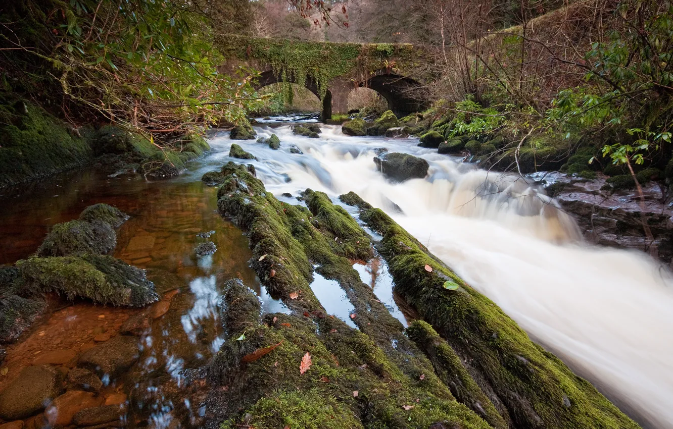 Photo wallpaper forest, mountains, bridge, Park, river, stones, arch