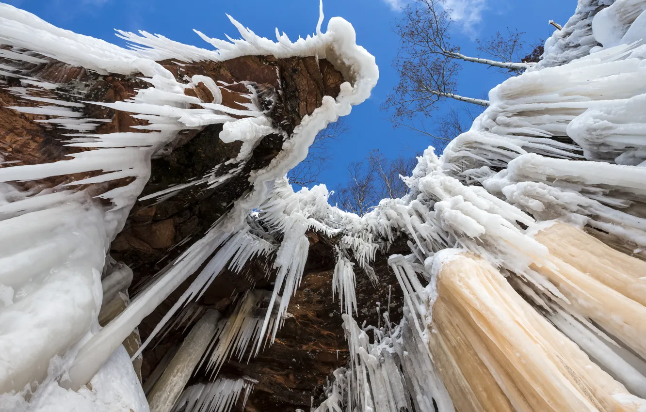 Photo wallpaper ice, the sky, trees, rocks, icicles