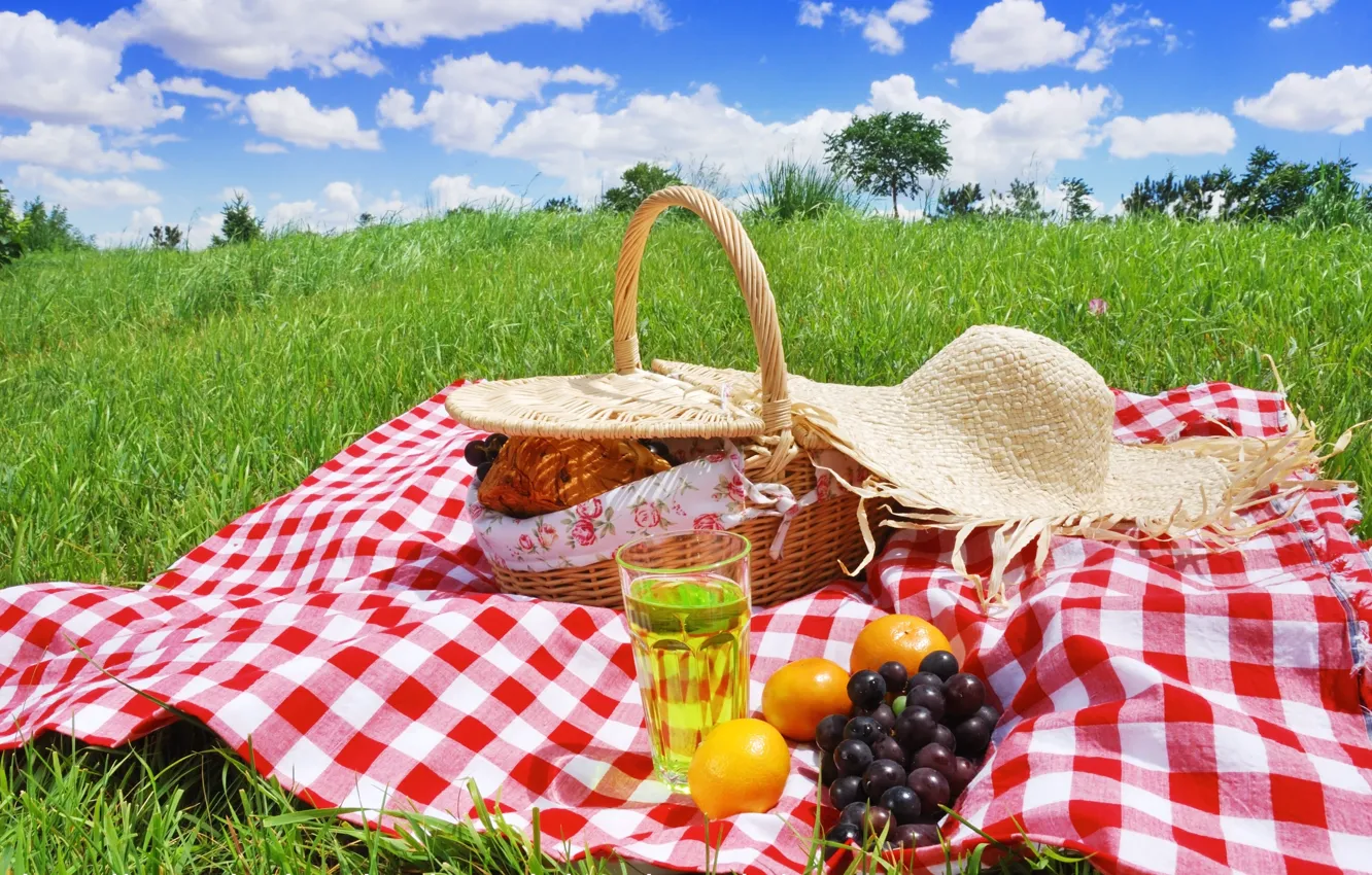 Photo wallpaper summer, glade, fruit, picnic, basket, Picnic Day