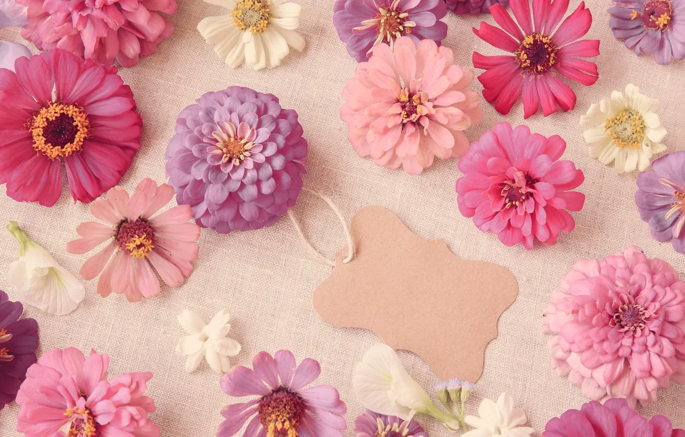 Photo wallpaper flowers, summer, pink, pink, flowers, beautiful, purple, various