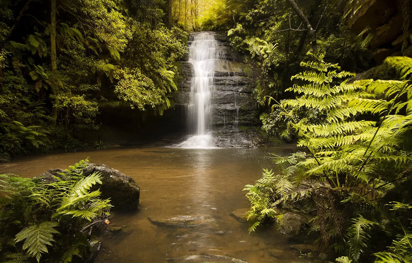 Photo wallpaper forest, summer, river, waterfall