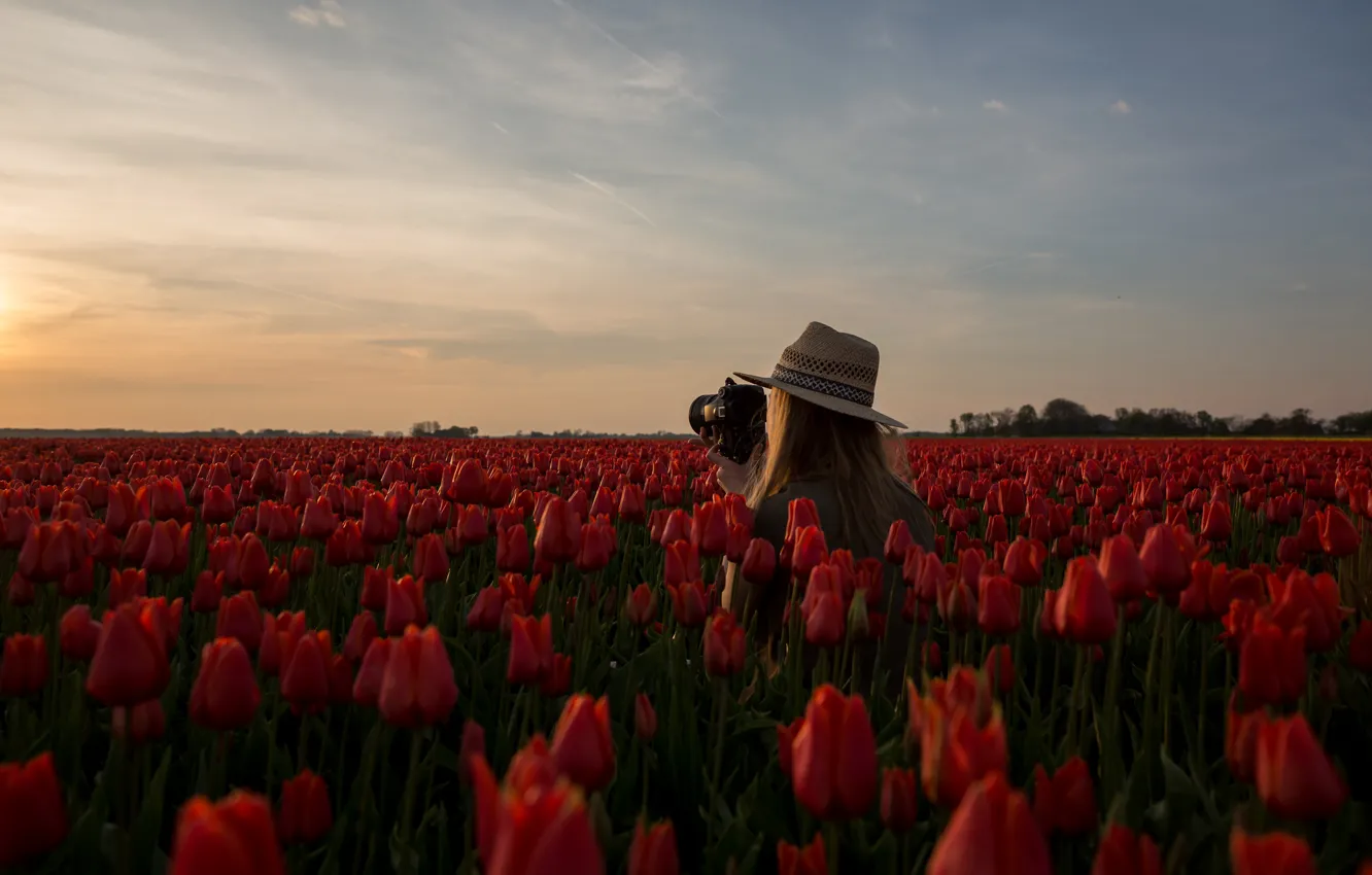 Photo wallpaper field, the sky, girl, clouds, flowers, red, mood, spring