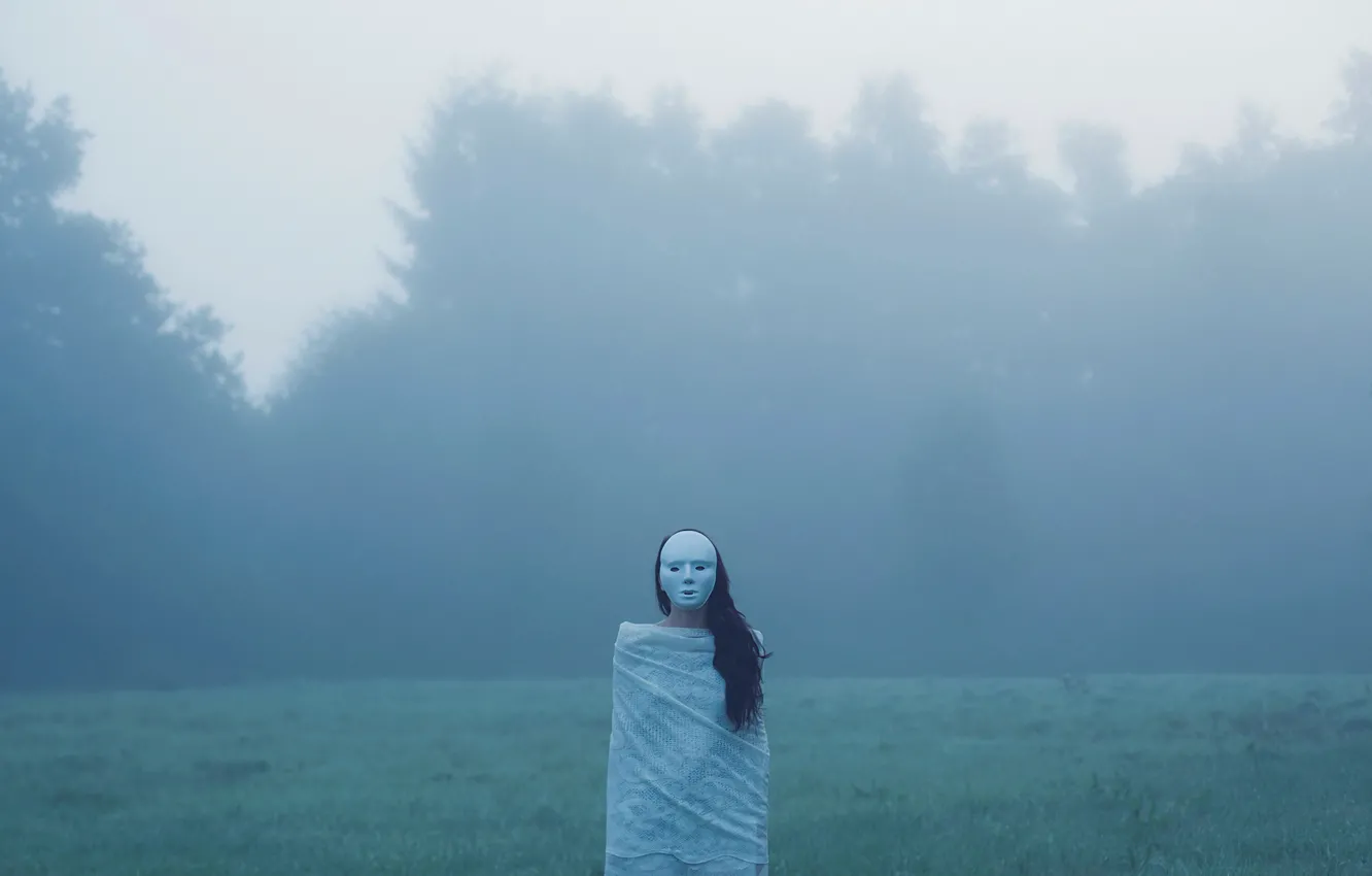 Photo wallpaper field, forest, fog, figure, mask, horror