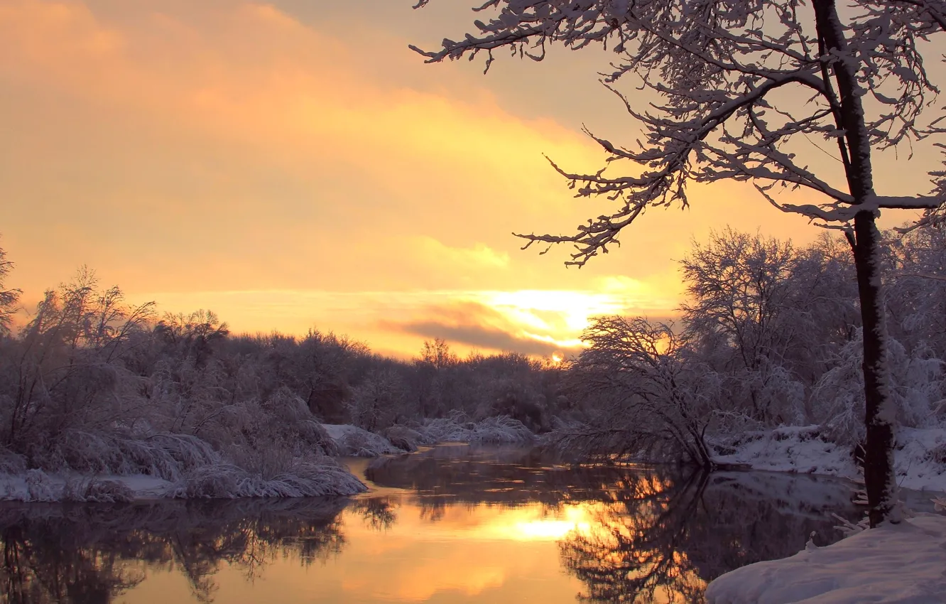 Photo wallpaper winter, frost, trees, sunset, river, the evening