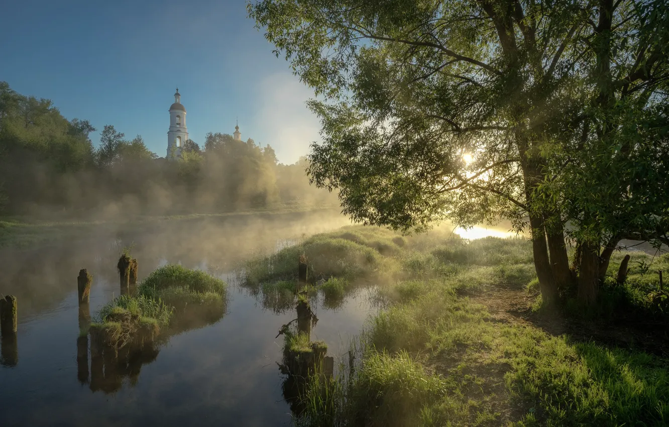 Photo wallpaper summer, grass, trees, landscape, nature, fog, river, dawn