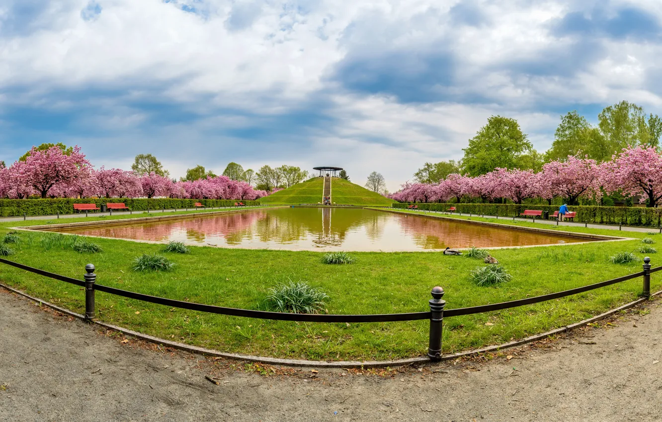 Photo wallpaper trees, bench, pond, Park, lawn, hills, duck, Germany