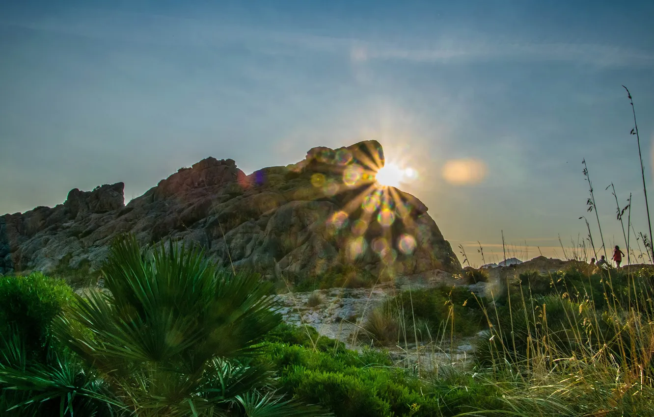 Photo wallpaper the sun, mountains, vegetation