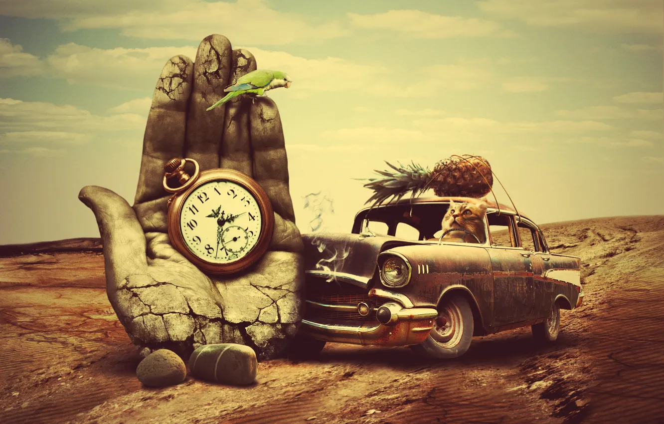 Photo wallpaper road, machine, crash, cat, watch, parrot, pineapple, palm