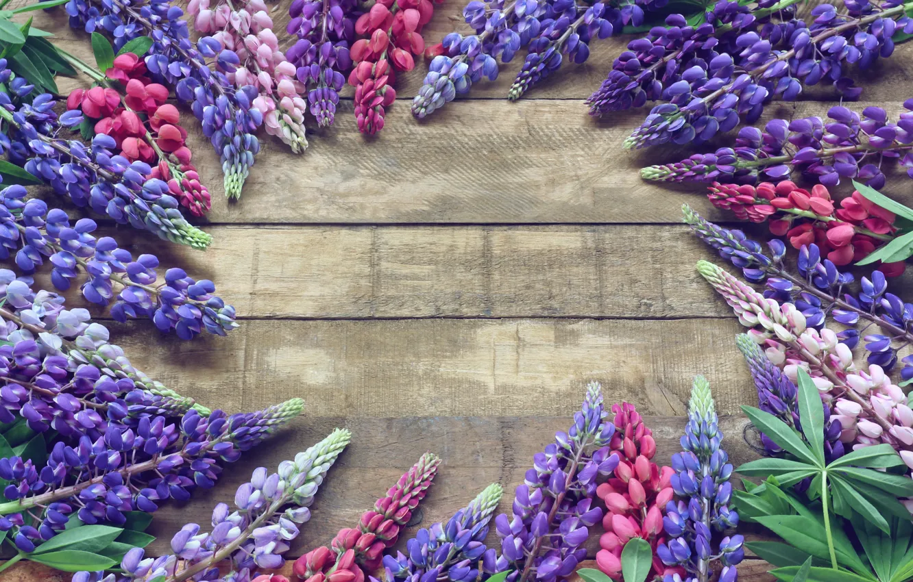 Photo wallpaper flowers, spring, lupins