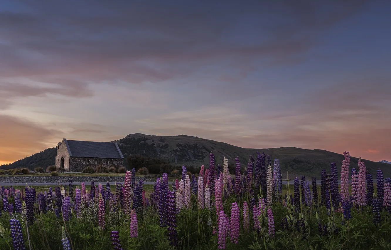 Photo wallpaper field, summer, the sky, clouds, flowers, mountains, hills, home