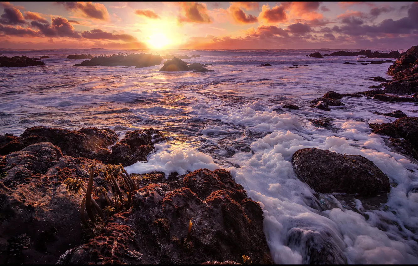 Photo wallpaper sea, wave, foam, the sun, clouds, sunset, stones, shore