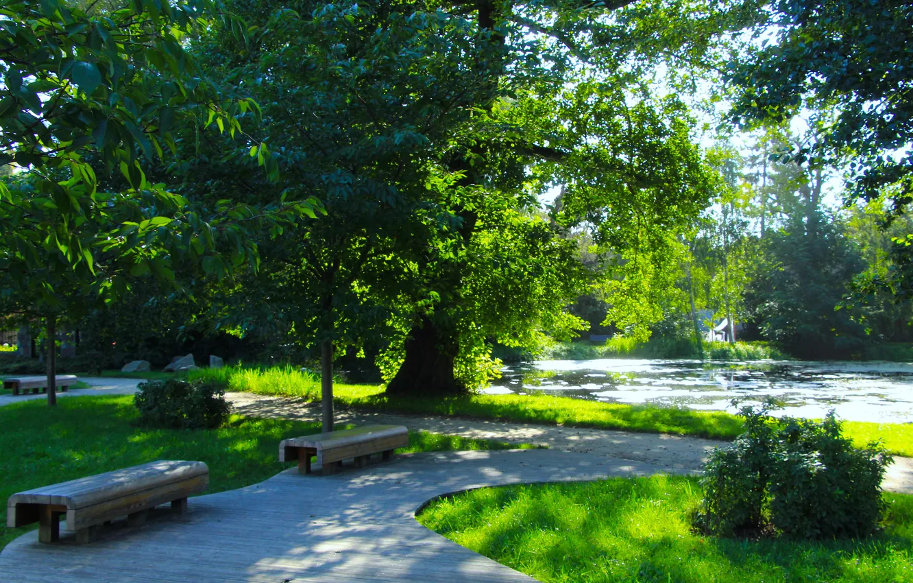 Photo wallpaper trees, park, bench, alley