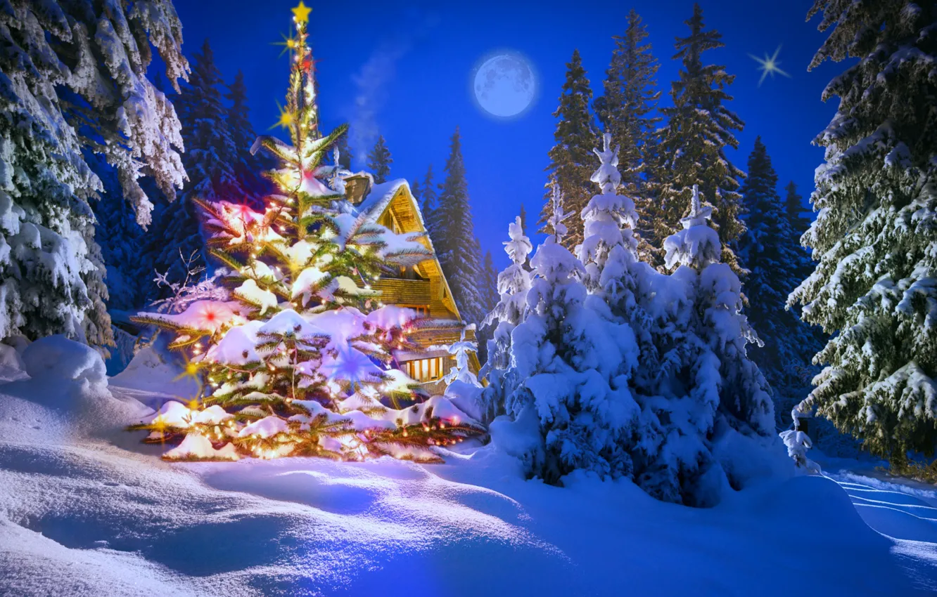 Photo wallpaper winter, night, holiday