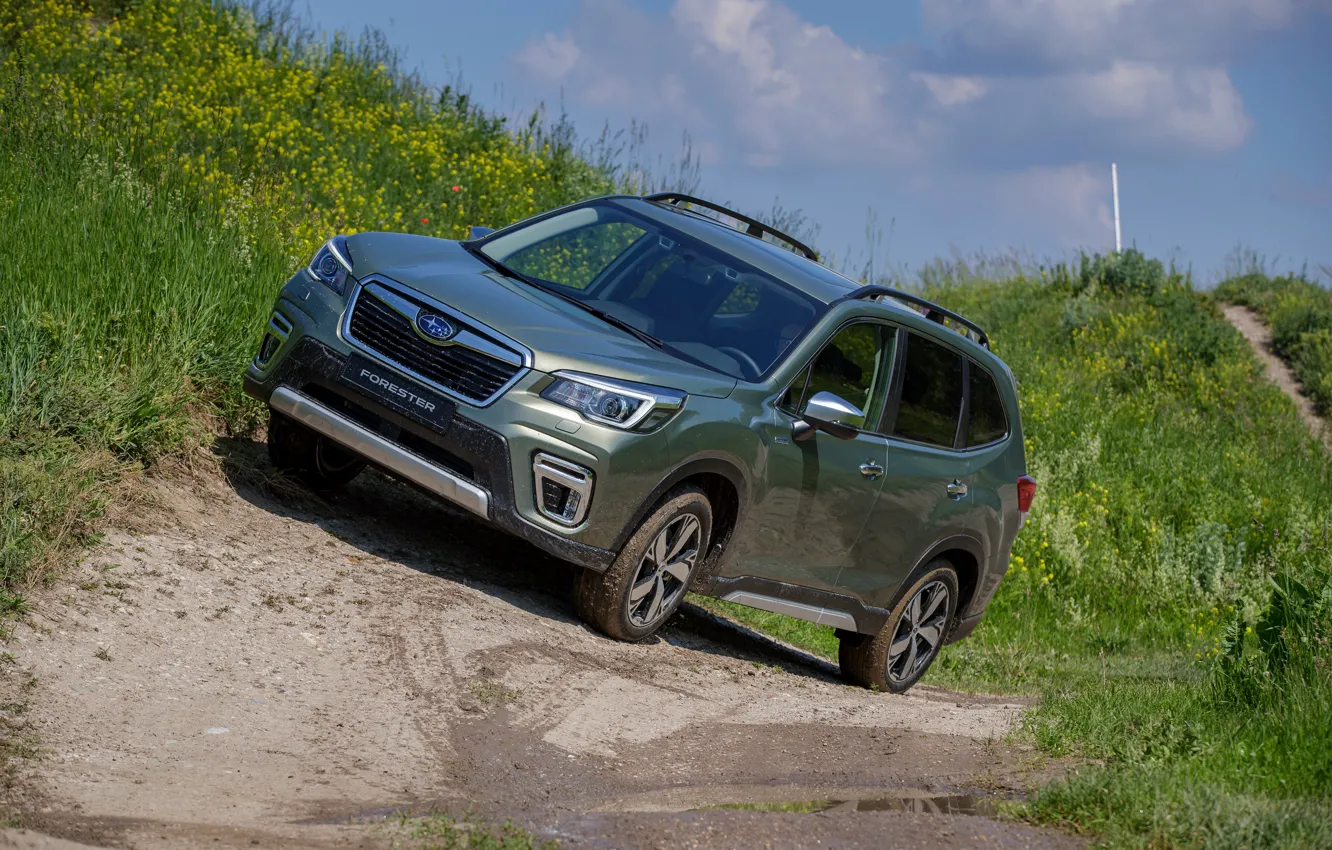 Photo wallpaper grass, Subaru, dirt, crossover, Forester, 2019