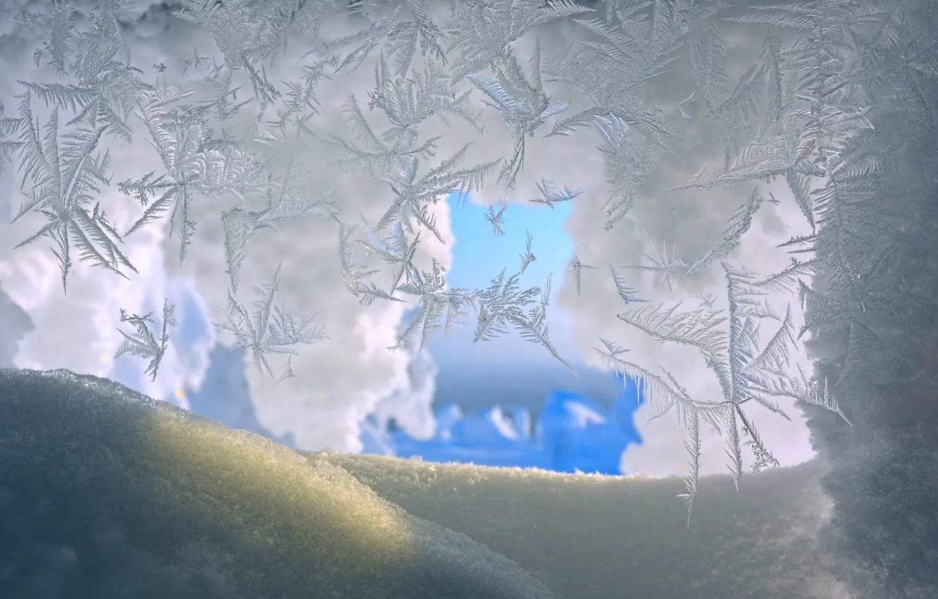 Photo wallpaper winter, macro, snow, snowflakes