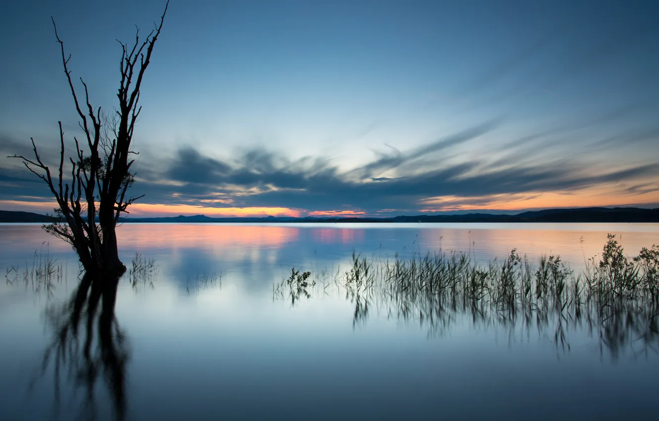 Photo wallpaper clouds, trees, lake, the evening, kamyshi