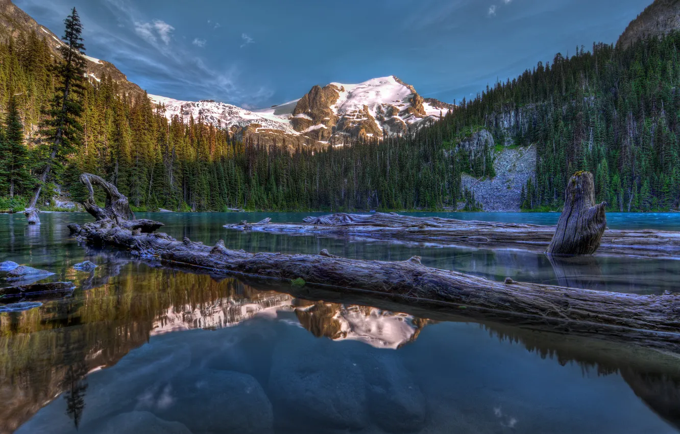 Photo wallpaper forest, trees, mountains, lake, ate, Canada