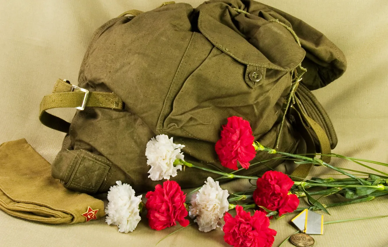 Photo wallpaper Flowers, medal, backpack, pussy, 730, was, holiday, boots!