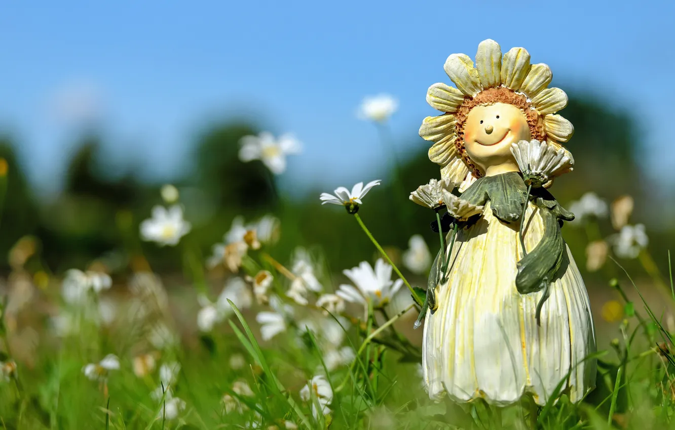 Photo wallpaper field, summer, grass, flowers, chamomile, doll, figure