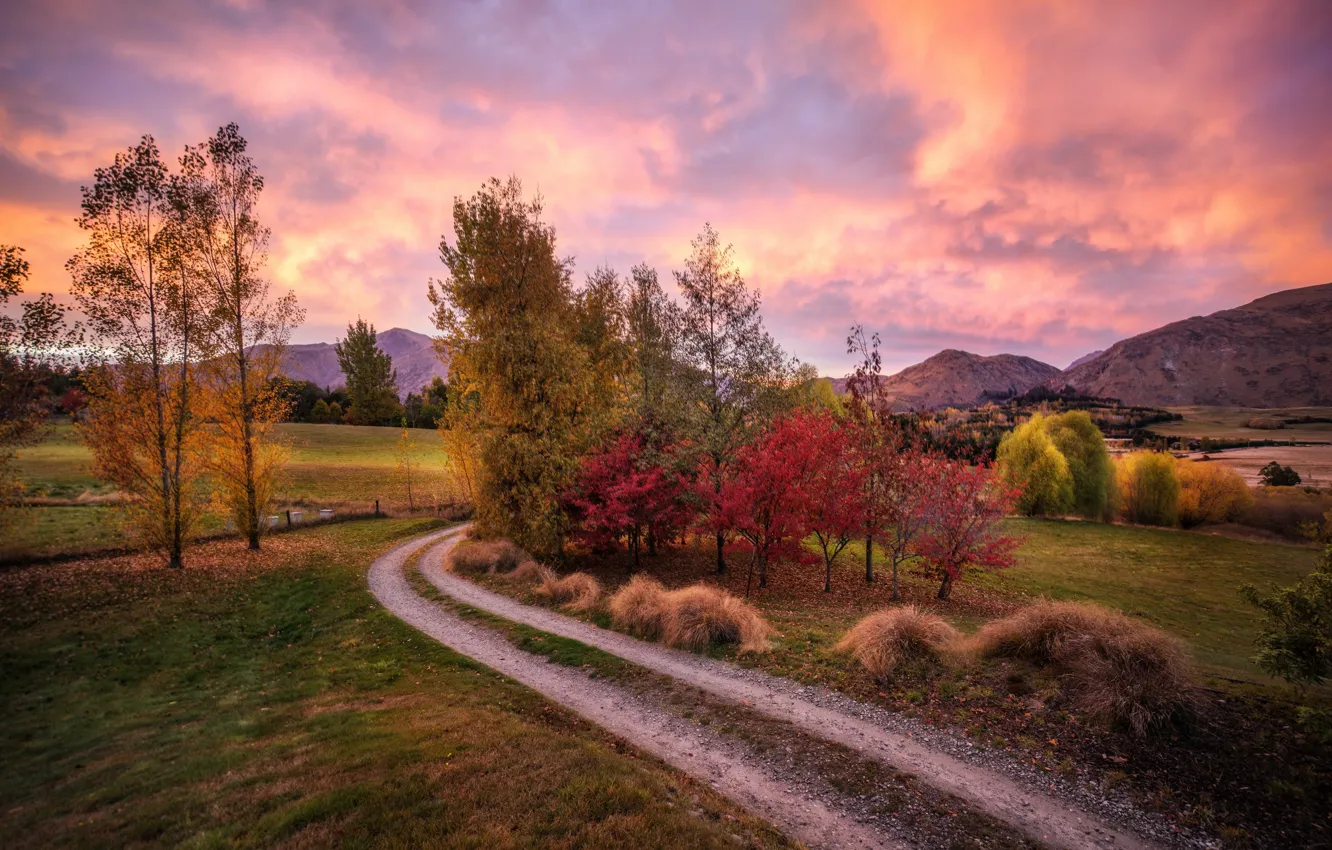 Photo wallpaper road, autumn, mountains, hills, morning, New Zealand
