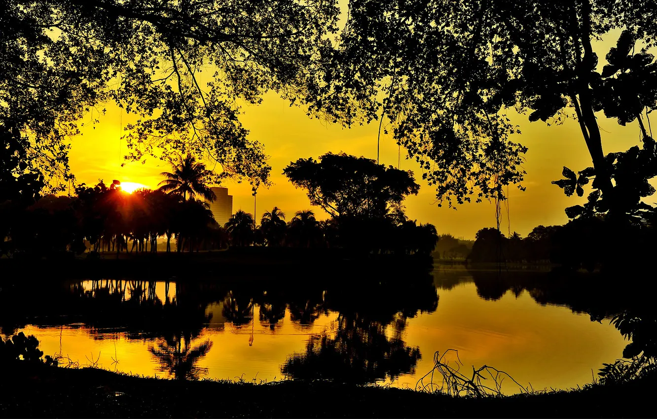 Photo wallpaper sunset, garden, pond