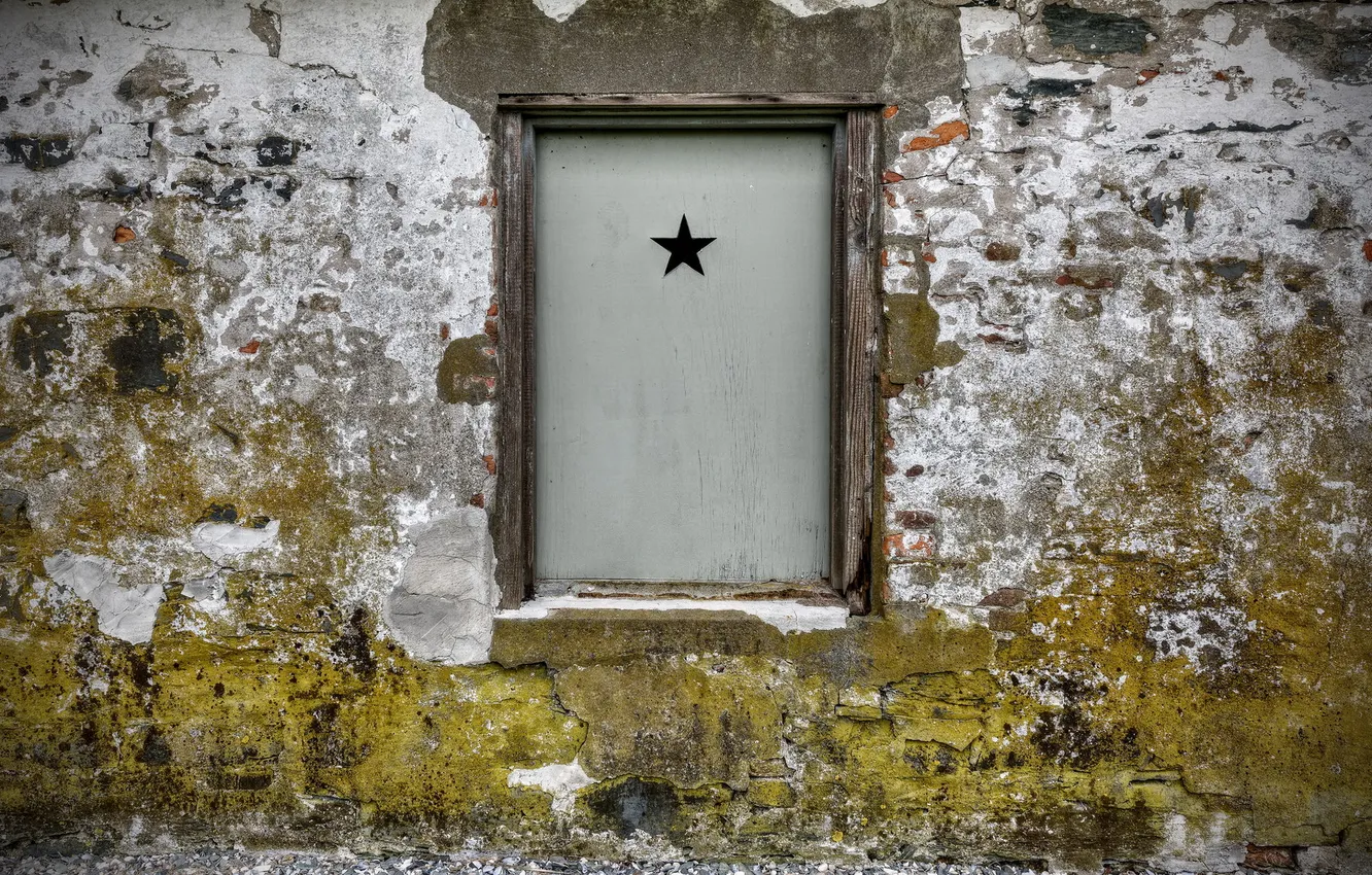 Photo wallpaper wall, star, window