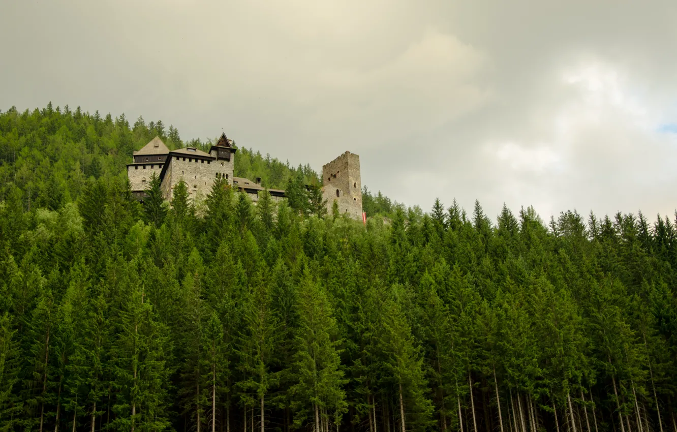 Photo wallpaper forest, clouds, castle, forest, castle