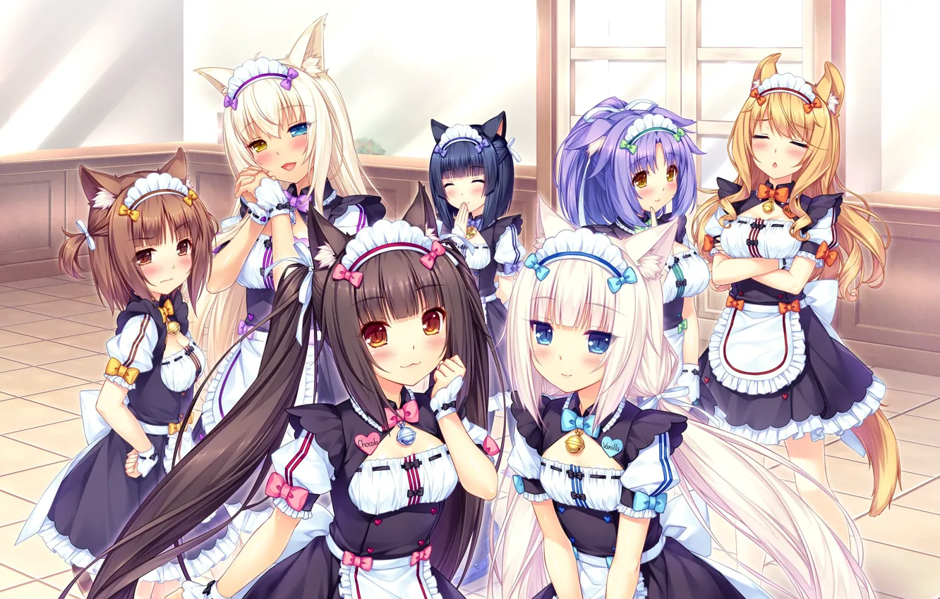 Photo wallpaper girls, form, neko, ears, anime, art, Vanilla, Maple