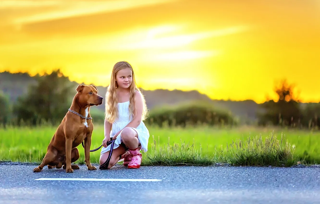Photo wallpaper asphalt, dog, girl, Dog and Girl