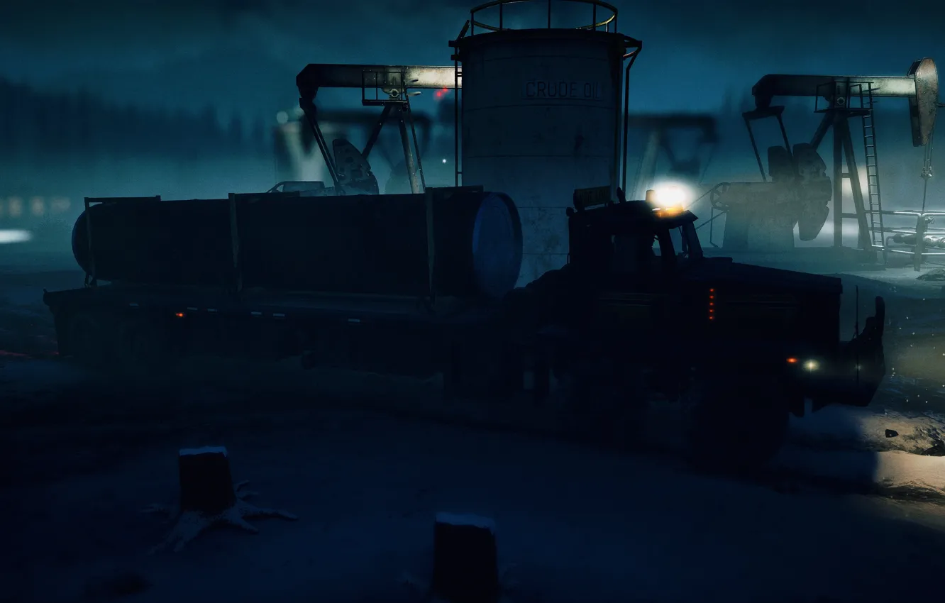 Photo wallpaper HDR, light, Alaska, game, wood, night, winter, snow