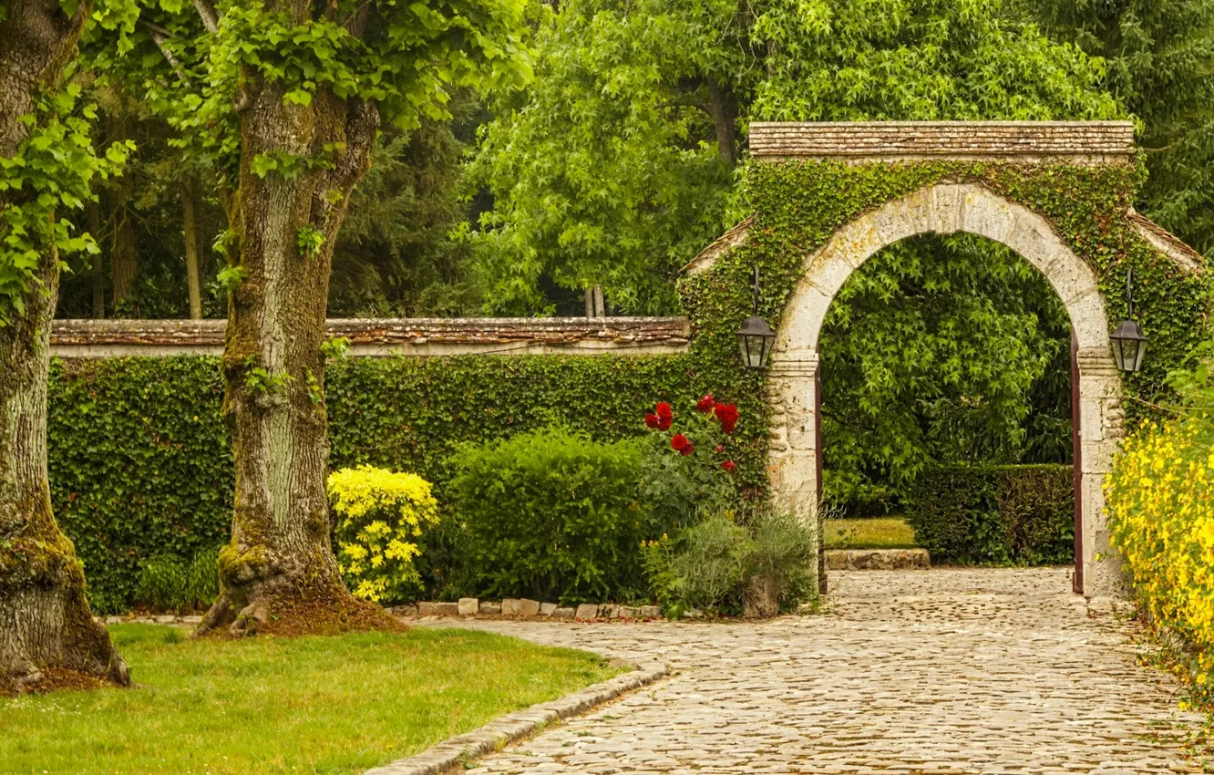 Photo wallpaper trees, flowers, Park, arch