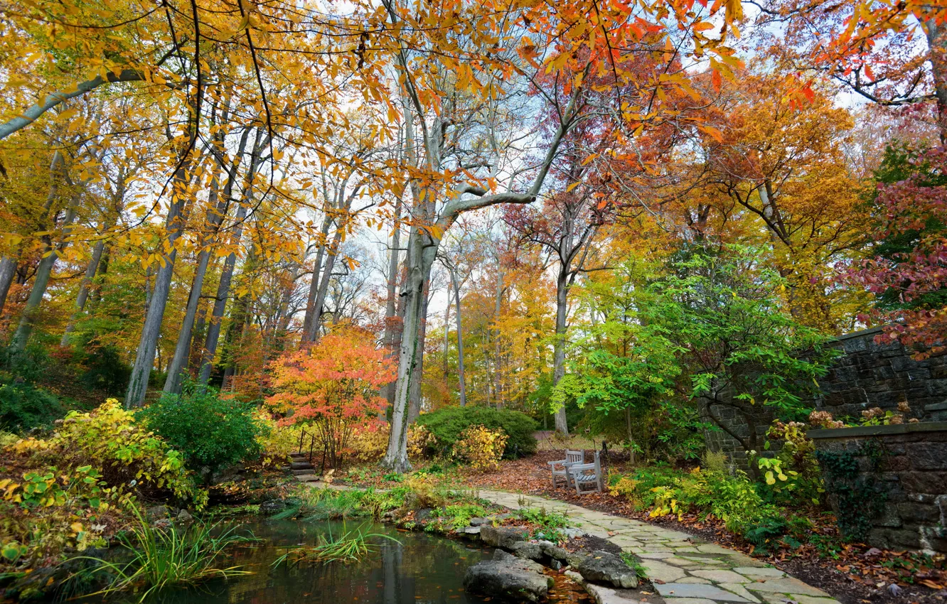 Photo wallpaper autumn, trees, nature, pond, Park, photo, USA, Longwood Kennett Square