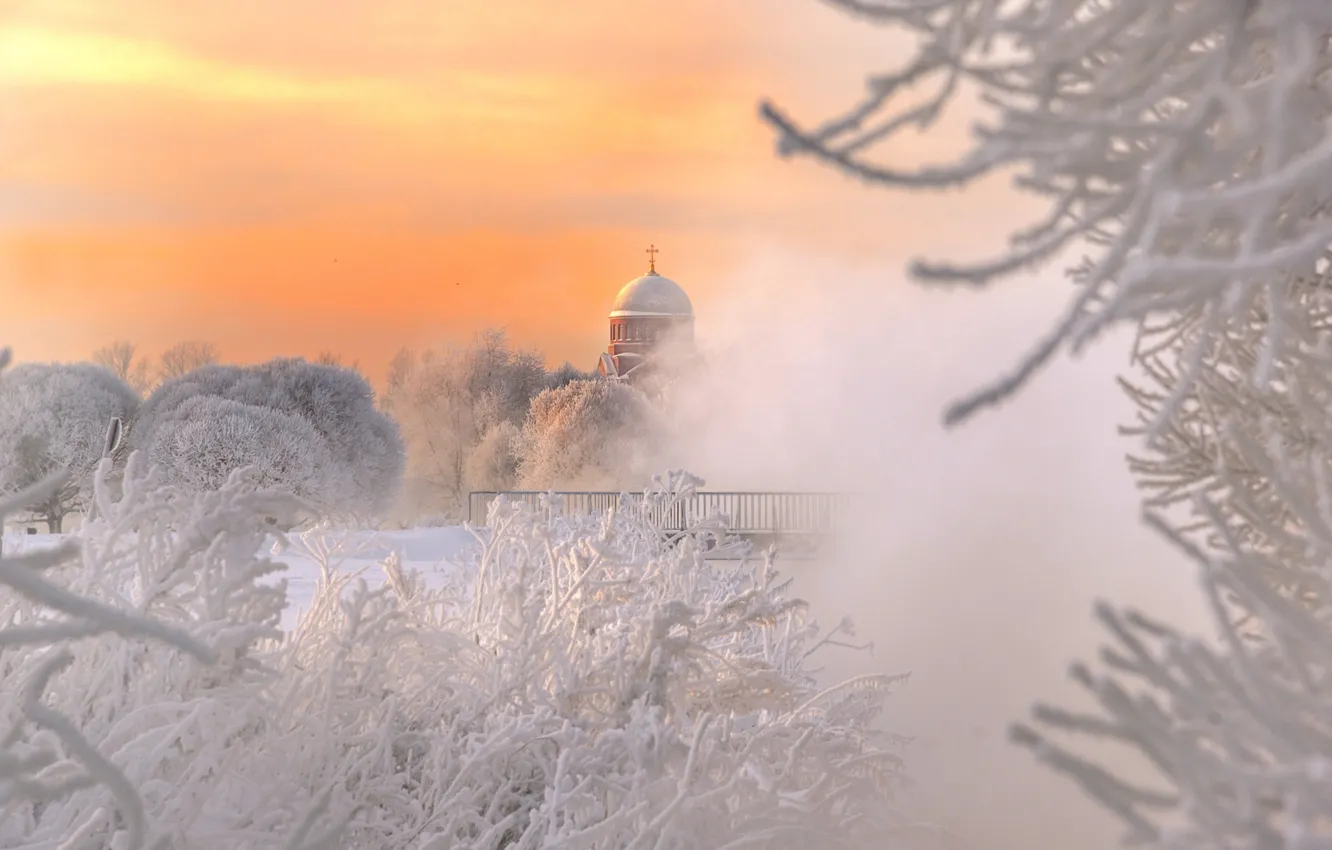 Photo wallpaper winter, frost, branches, Peter, temple, Russia