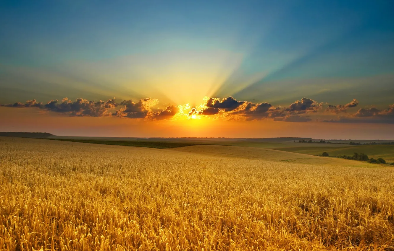 Photo wallpaper sky, field, landscape, nature, sunset, clouds, sun, horizon